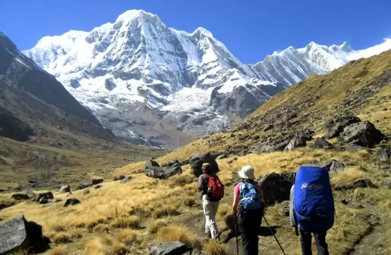 अन्नपूर्णमा आरोही आउन थाले