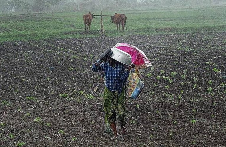 छ महिनापछि हिउँदे वर्षा, किसान खुसी