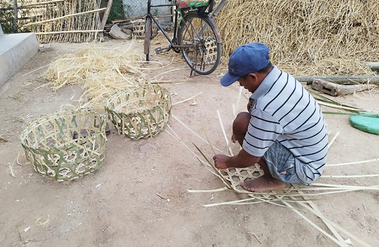 चोयामा सीप भरेर आत्मनिर्भर बनेका घोराहीका ढाटु चौधरी