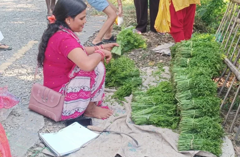 लगानी बिना नै लोभलाग्दो आम्दानी