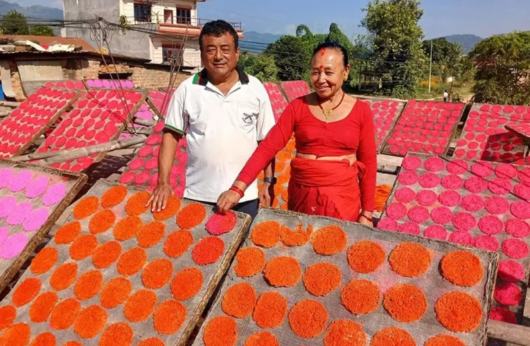 झिनिया व्यवसाय लोभलाग्दो, झिनियाको व्यापारमा व्यस्त