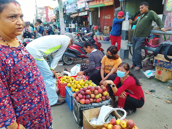 दसैँ–तिहारलाई कोसेली कर्णालीको स्याउ