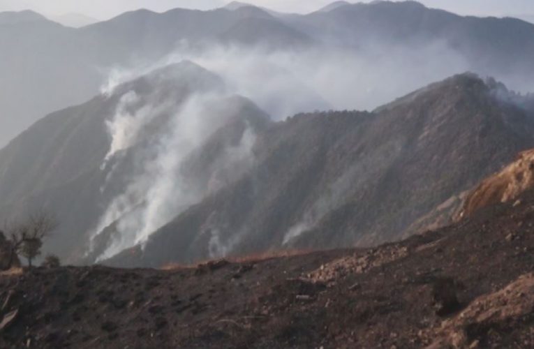 महाभारत पर्वतशृंखलाको सामुदायिक वनमा लागेको डढेलो नियन्त्रणमा