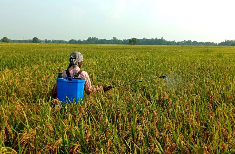 मधेशका किसान समूहलाई दुई अर्ब अनुदान दिइने