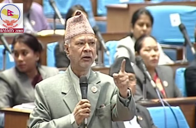 मन्त्रीले काम गरेका छैनन् भने हटाउनुपर्छ: रघुजी पन्त