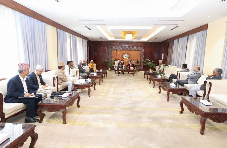 युवा पुस्तालाई आशा जगाउने कार्यक्रम ल्याउन सत्तापक्षीय दलको सुझाव