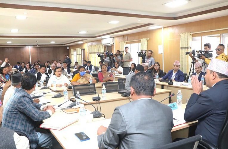 आज ५ वटा संसदीय समितिको बैठक बस्दै
