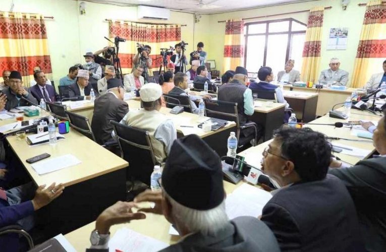 आज तीन संसदीय समितिको बैठक बस्दै