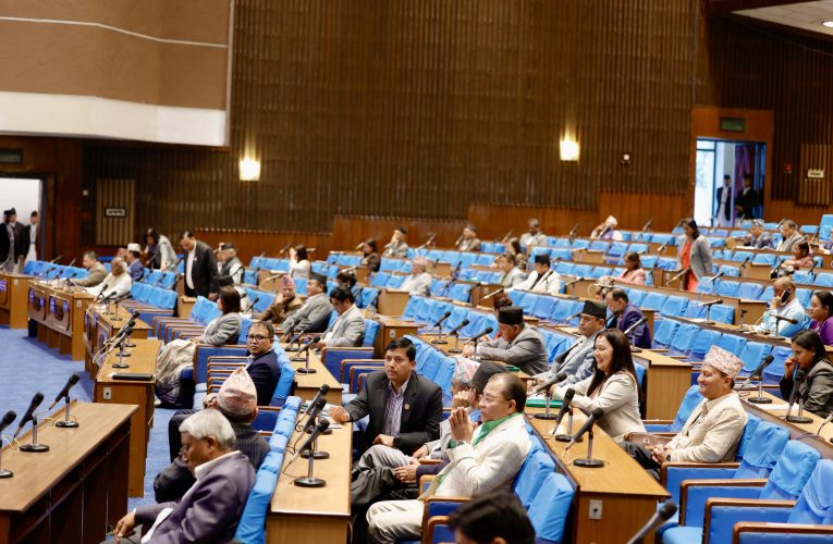 रेशम चौधरीलाई पक्राउ गरिएको बारेमा संसद्मा जानकारी दिन माग