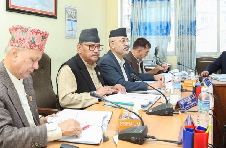 शिक्षा विधेयक २०८० लाई टुङ्गोमा पुर्‍याउन गम्भीर छु- शिक्षामन्त्री पन्त