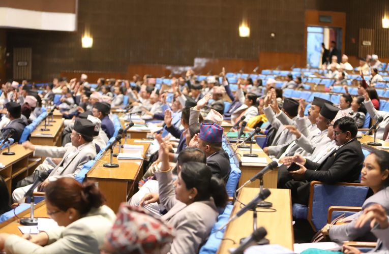 प्रतिनिधिसभाबाट सरकारको वार्षिक नीति तथा कार्यक्रम बहुमतले पारित