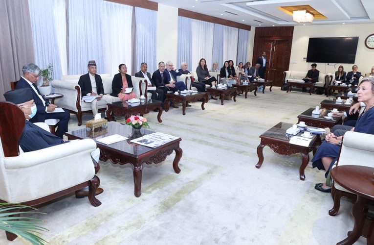 प्रधानमन्त्री ओलीसँग युरोपियन युनियन प्रतिनिधिमण्डलको शिष्टाचार भेट