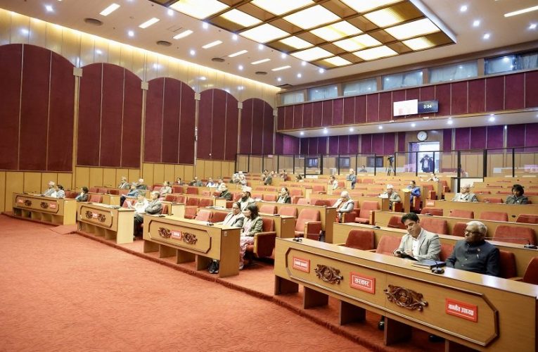 बजार अनुमगन गर्न सांसदद्वारा सरकारलाई आग्रह