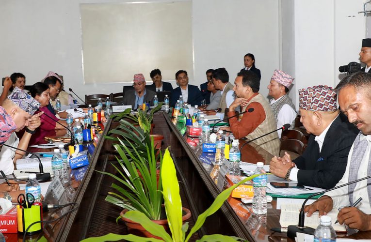 भैरहवा विमानस्थल अध्ययन उपसमितिमा सहभागी नबनाएको भन्दै माओवादी केन्द्रको आपत्ति