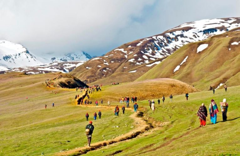 मुस्ताङका उच्चलेकमा यार्सागुम्बा सङ्कलन सुरू