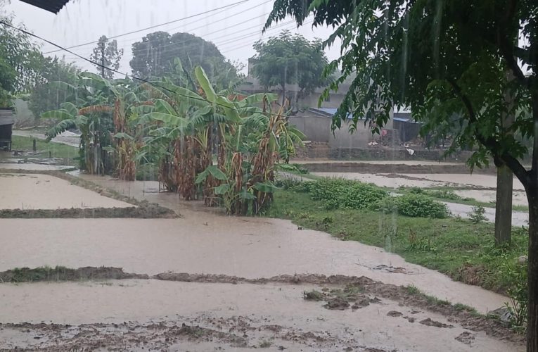 सुदूरपश्चिम प्रदेशमा लगातार भारी वर्षा