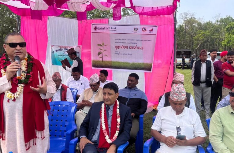 ग्लोबल आइएमई बैंकद्वारा विश्व वातावरण दिवसको अवसरमा देशव्यापीरुपमा वृहत् बृक्षारोपण