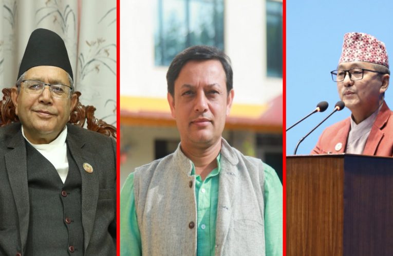 सभामुखले गरे अर्याल र लिङ्देनसँग छुट्टाछुट्टै छलफल
