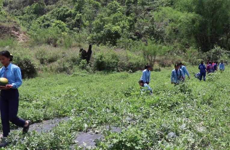 प्रभावकारी बन्दै ‘सिक्दै कमाउँदै’ कार्यक्रम