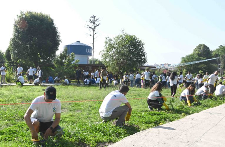 स्ट्यान्डर्ड चार्टर्ड बैंकले कीर्तिपुरमा ७०० भन्दा बढी विरुवा वृक्षारोपण