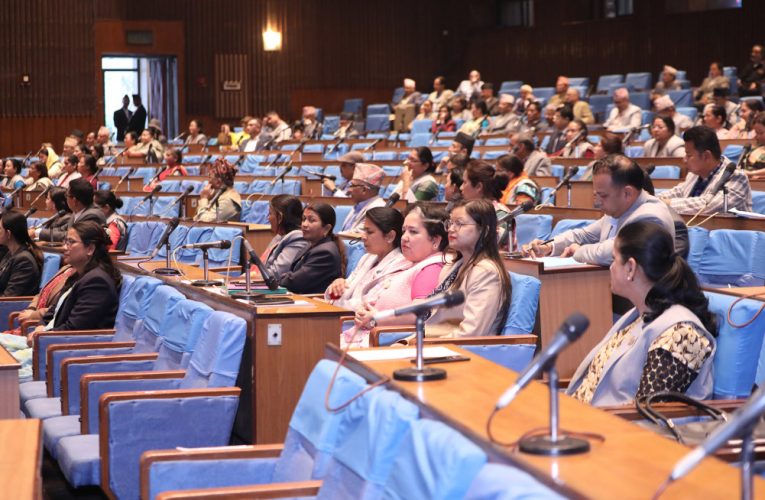 प्रतिनिधिसभाको बैठक बुधबारसम्मका लागि स्थगित