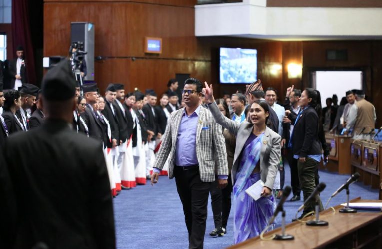 प्रतिनिधिसभामा रास्वपा र राप्रपाको अवरोध कायमै