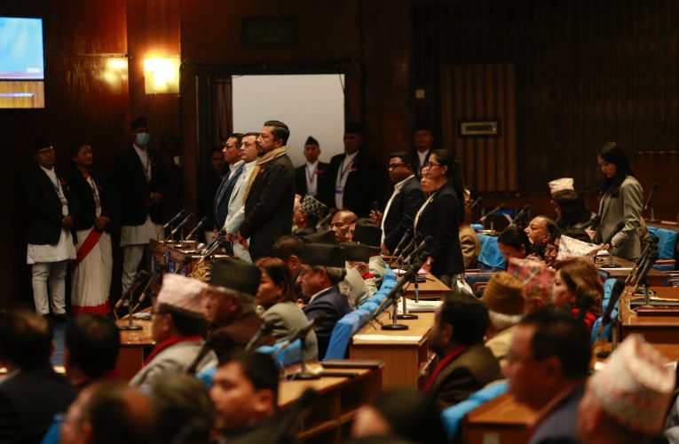 प्रतिनिधिसभा बैठकमा राष्ट्रिय स्वतन्त्र पार्टीको विरोध