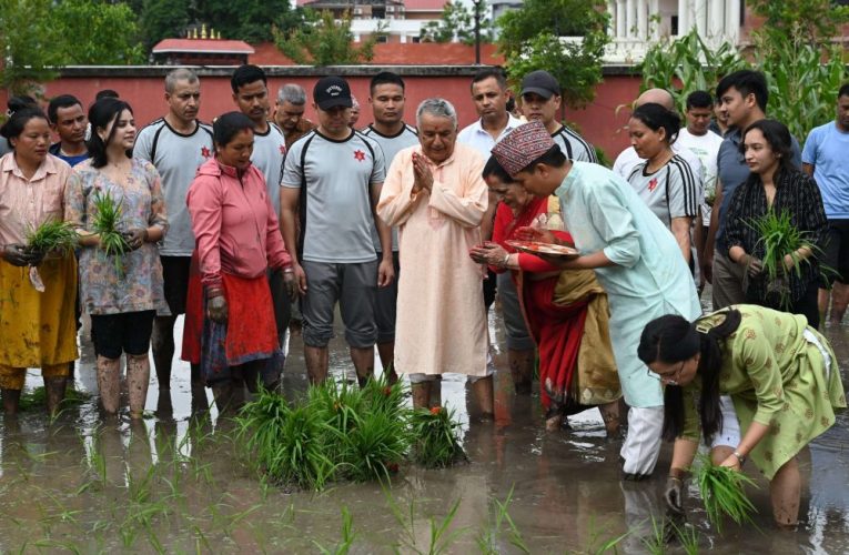 राष्ट्रपति भवन शीतल निवासमा रोपाइँ