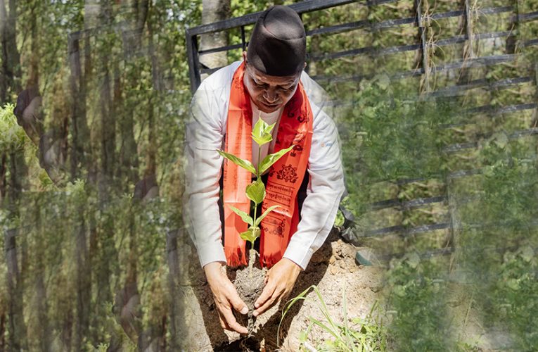 टीभीएस मोटर र जगदम्बा मोटर्सले १ सय रुख रोप्दै मनाए विश्व वातावरण दिवस