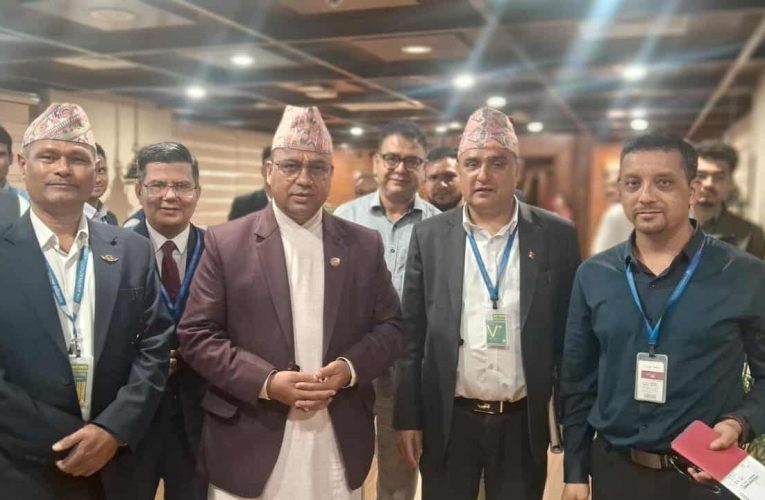 मन्त्री पाण्डे फ्रान्स प्रस्थान