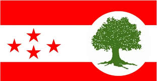 कार्की आयोगको प्रतिवेदन अध्ययन गर्न कांग्रेसले बनायो समिति