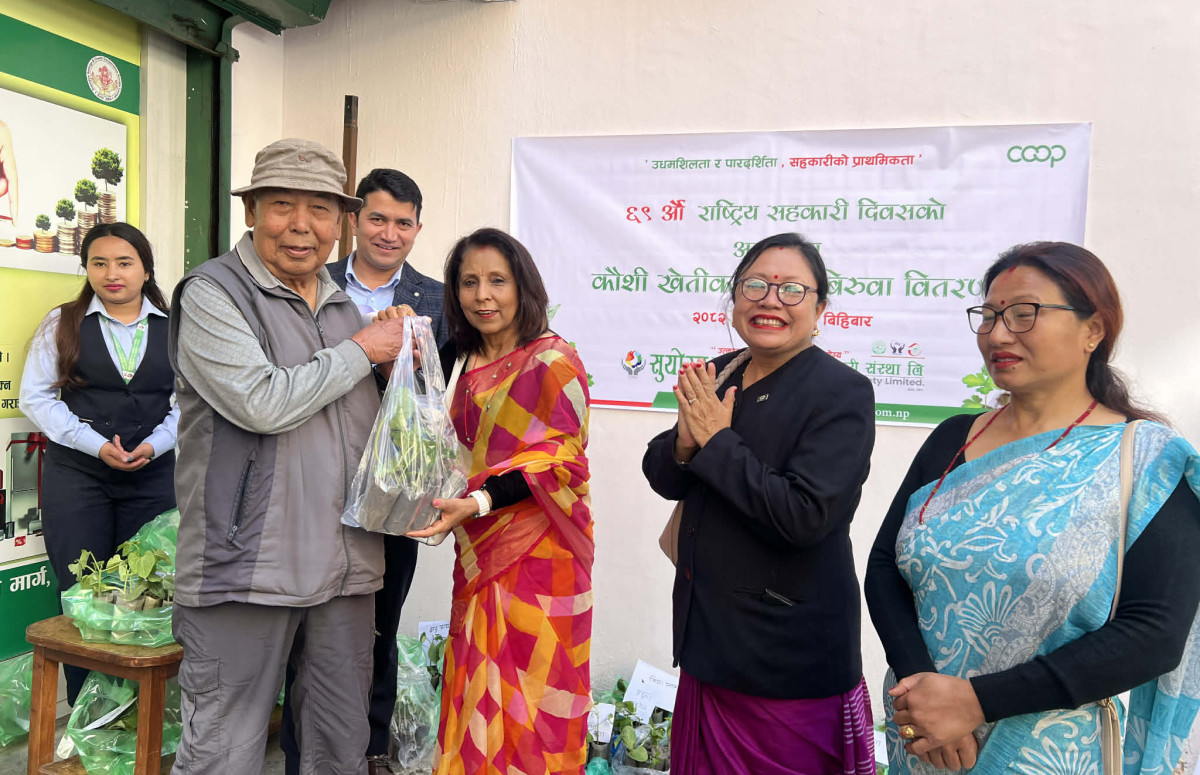 सुयोग्य साकोसद्वारा कौशी खेतीका लागि निःशुल्क विरुवा वितरण