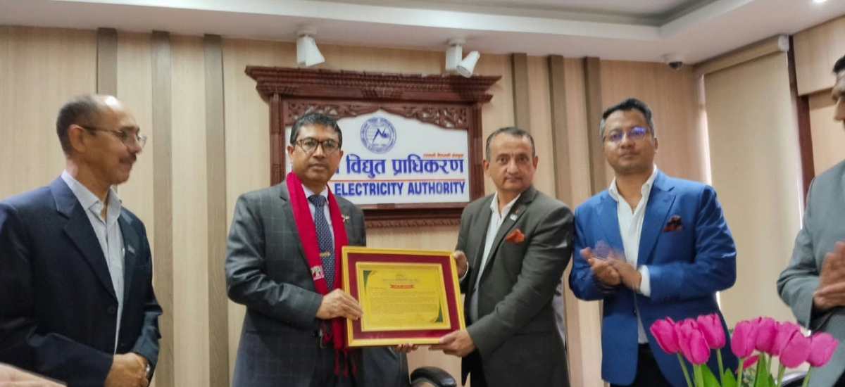 ग्रिड कनेक्सन कार्यविधि मस्यौदामा इप्पानको असहमति, १९ बुँदे संशोधन प्रस्ताव
