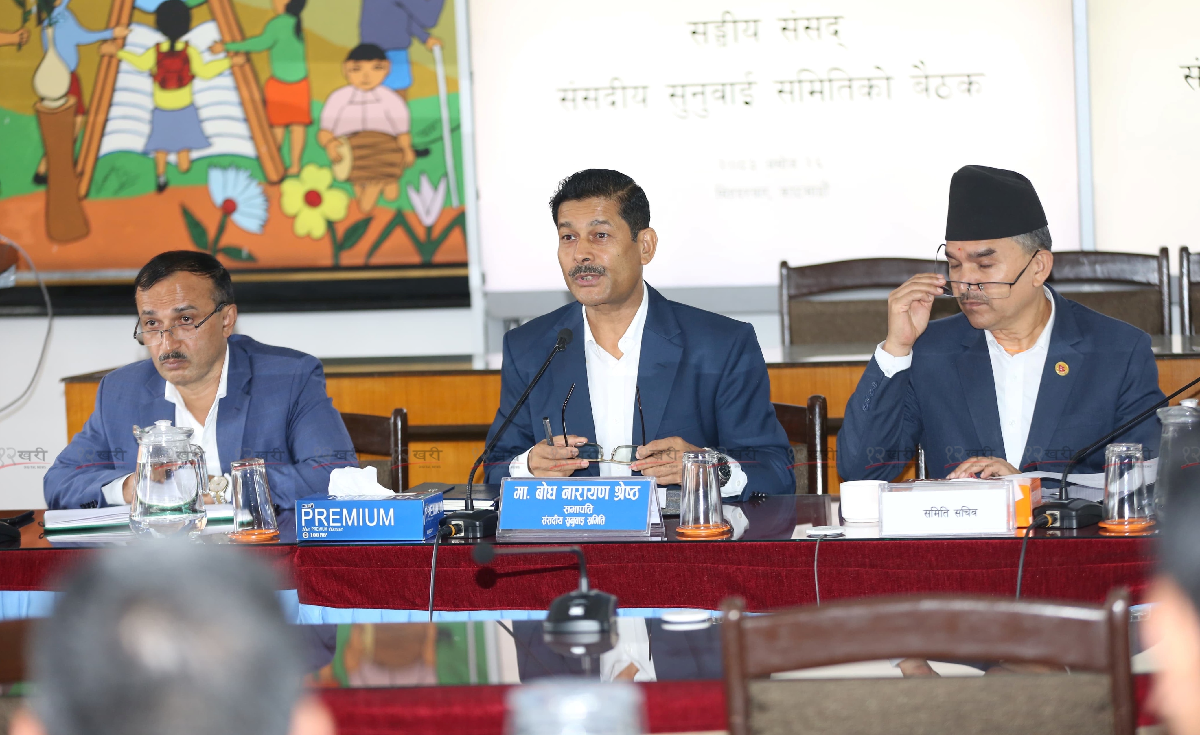 साउदीमा प्रस्तावित राजदूतविरुद्धको उजुरीमा दुई प्रमाण झिकाउने समितिको निर्णय